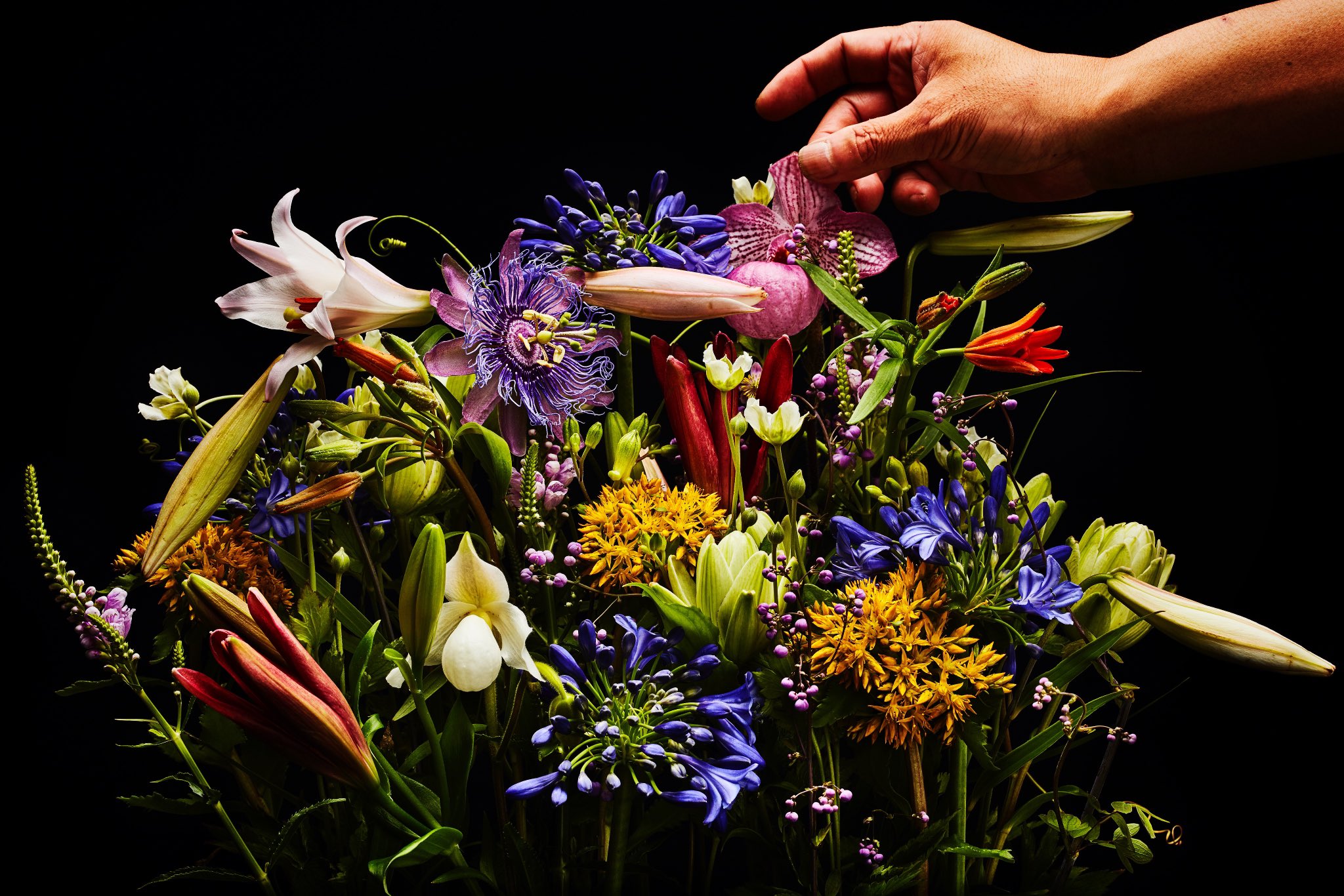 Azuma Makoto Flowers Amkk Amkkproject Makotoazuma Azumamakoto 東信花樹研究所 東信 Jardinsdesfleurs Shiinokishunsuke Flowerart Flower Flowers Timelapse 30s 30秒 60s 60秒 タイムラプス 花と時間 T Co 4eyiobxo3s Twitter