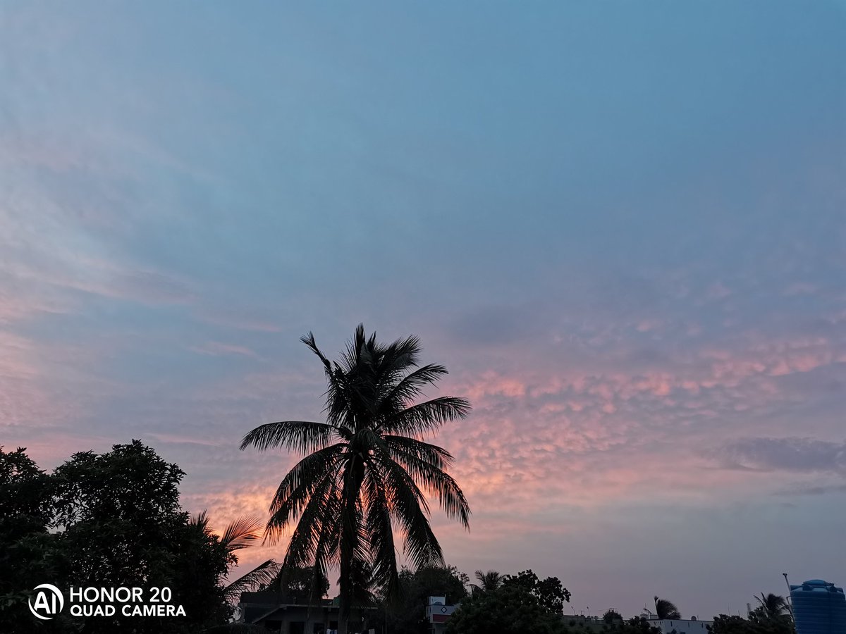 rajeshpadavala's tweet photo. @Honorglobal Beautiful colour hues of sky captured during sunset with my #Honor20 #ShotonHonor20 #honorgraphy #HONORMade #honor20series https://t.co/T6fKB9tjjC