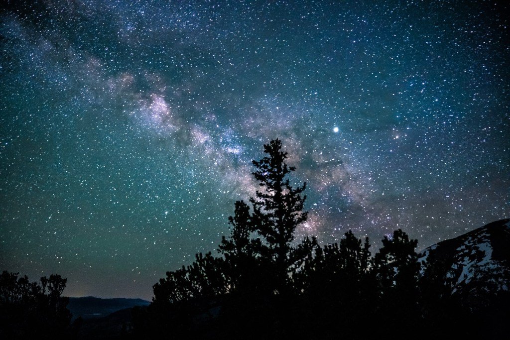 One Modern Couple tweet media