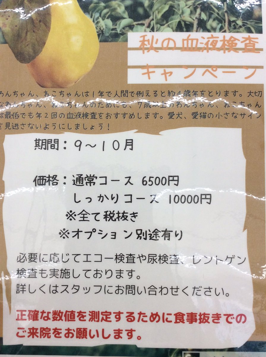 DOG_GALLERY's tweet photo. 秋の血液検査キャンペーン開催します🥰
いつまでも幸せに長く一緒にいるためには、早期発見・早期治療が大切です。
トリミングと同日の場合はご予約の際にお伝えください🐾😊
※詳しくはクリニックまでお問い合わせください
053-416-1190
#doggallery
#ドッグギャラリー
#くぅちゃん https://t.co/b53TSCYPGp