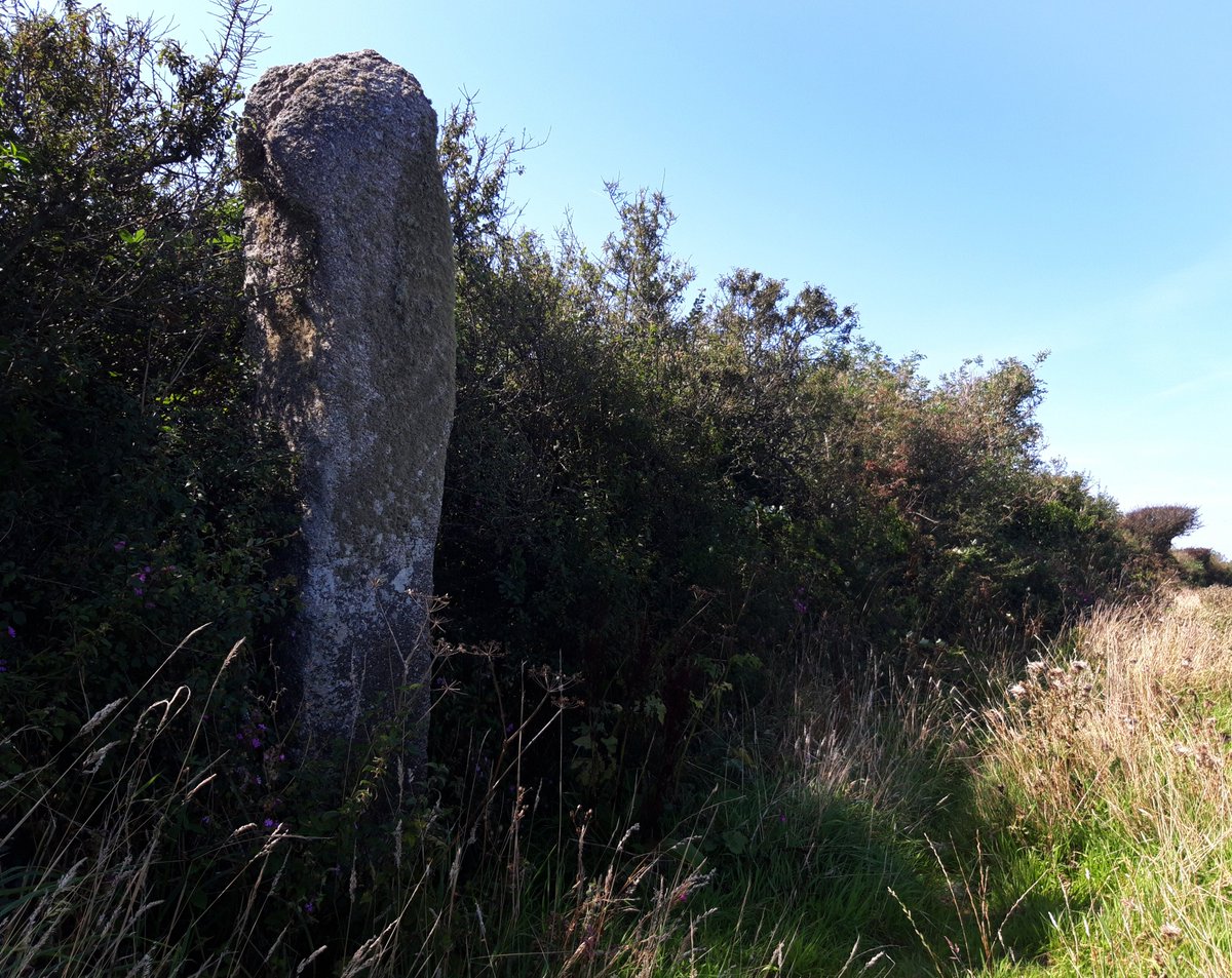Gun Rith standing stone sometimes gets overlooked due to being so close to the Merry Maidens stone circle. A pity, as it's huge, 11 ft or so. This area was important to our ancestors: The Pipers, Tregiffian Barrow and a possible holed stone all very near. #PrehistoryOfPenwith
