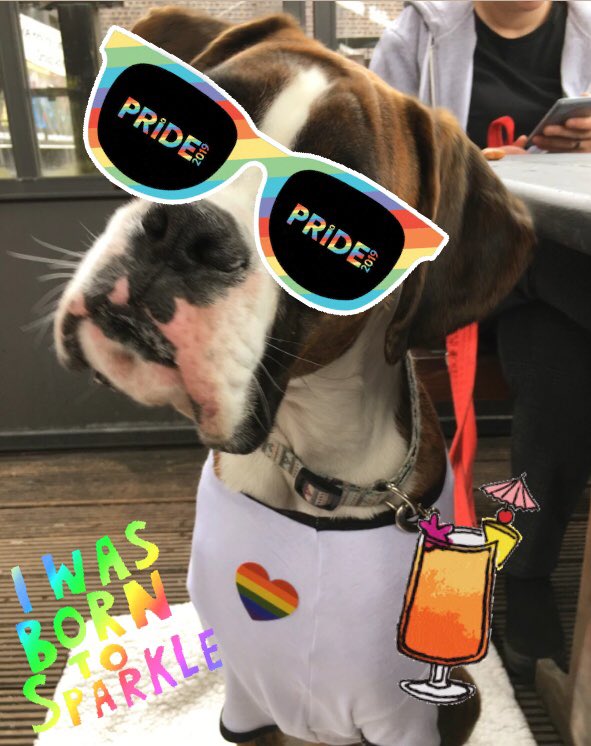 AbbottJuicy's tweet photo. Happy Pride #ManchesterPride π³οΈβπ #DogsWithPride #DogsOfPride #ILoveMyMummies #2mumsbetterthan1 #BoxersOfTwitter #boxerdog https://t.co/aw7EBPTUl0