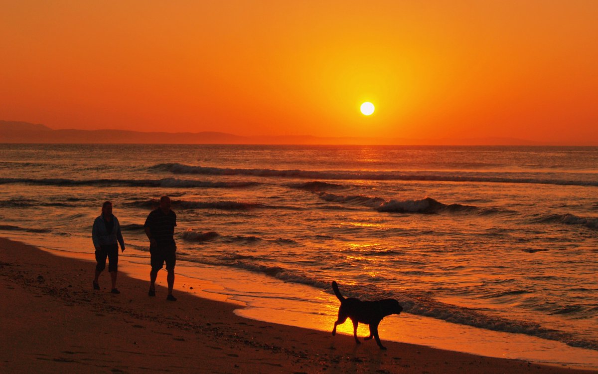 propertyguyjbay's tweet photo. #easylikesundaymorning waking the dog at dawn along the beach in #JBay #dreamhome #livingthedream #JeffreysBay #JBay #SouthAfrica #Africa #Surfing #SurfTrip #Surf #Surfer #Travel #TravelDestination #beach #beachholiday #surfholiday #SouthAfricatravel #surflife #beachtravel https://t.co/0YA98e68YA