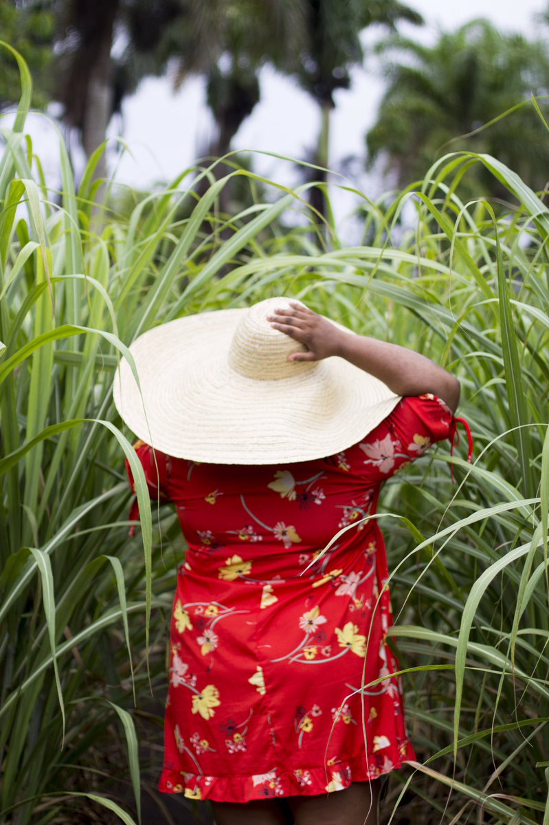 lovenotlikesja's tweet photo. When we take. @_mx199x to the cane fields of Worthy Park. #bloggertrip #bloggerstribe #bloggers #worthyparkestate https://t.co/Uy0PN6yyOX