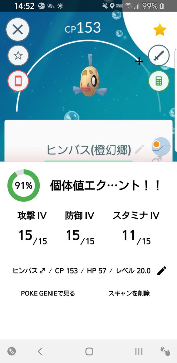 野生のヒンバス 本当にウォーターフェスティバル 出るの 野生でヒンバス見つけた人すごい みんなのポケgo みんポケ