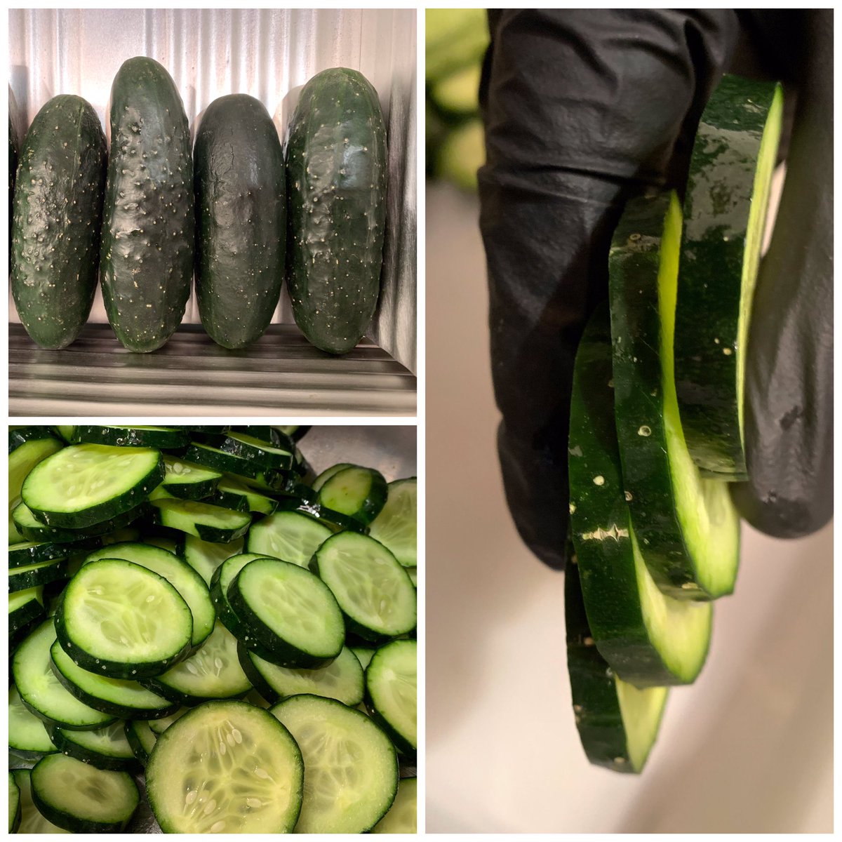 MachinesFoodPro's tweet photo. For the kitchen cruises : Automatic slicers ,dicers and washing machines , for vegetables , meat , fruits ..🥒🥒🥩🥩🥩🥩🥩🍠🍠🍅🍅🍊🍊#chefs #cruise #cruises #kitchen #cruceros #cheff #chef #fincantieri #meyerwerft #shipbuilding #shipconstruction #cruisekitchen #Kreuzfahrtschiff https://t.co/CoMIkWhxiu
