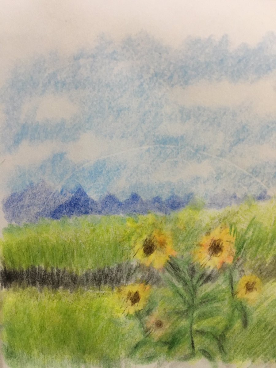 ノブユキ 色々と描いてるよ Sur Twitter 亜美ちゃんの作品 夏の風景 13歳の亜美ちゃん また描きました 夏 風景画 色鉛筆画