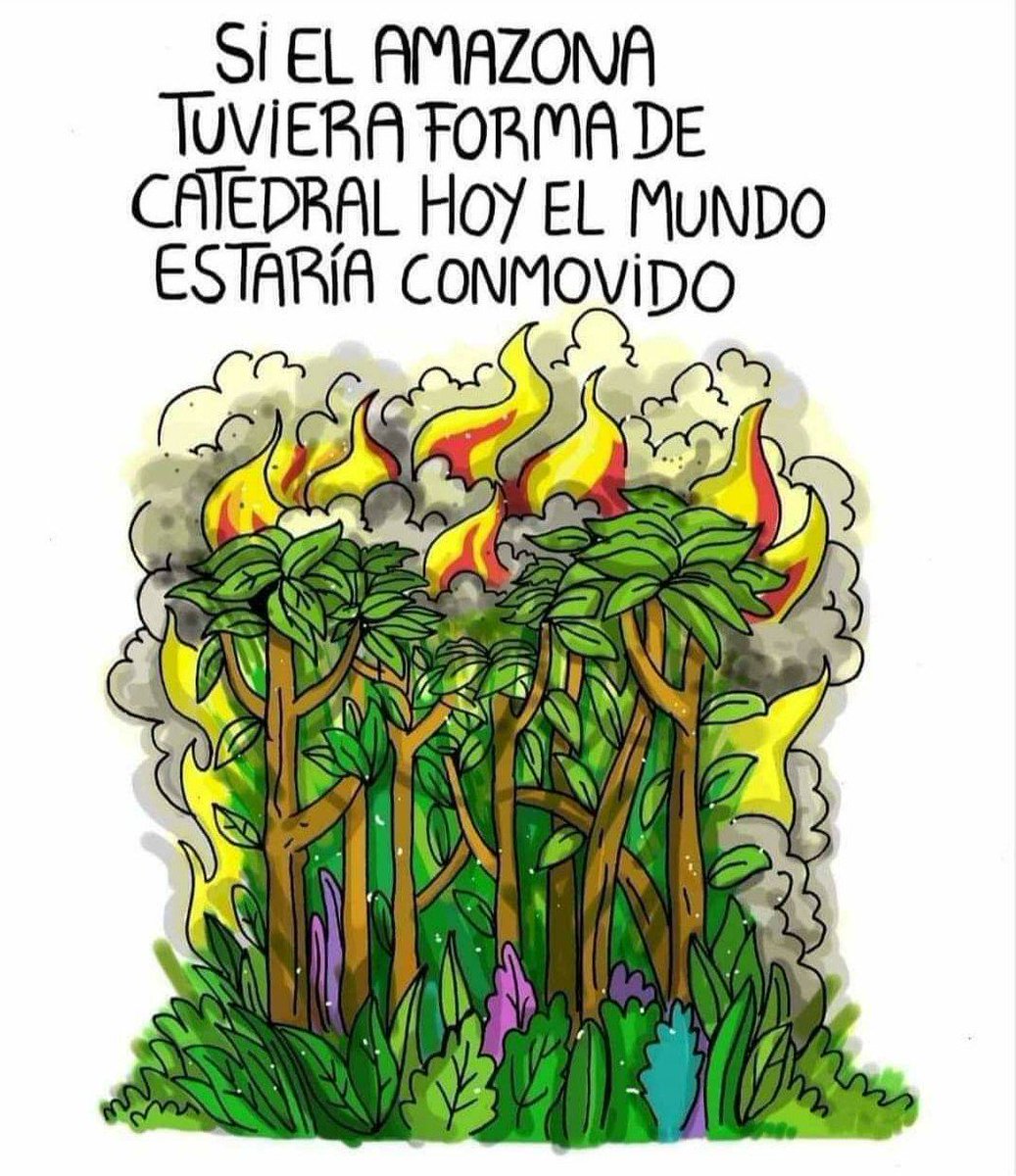 #AmazoníaPulmónMundial
No debemos perder el pulmonar del mundo.
