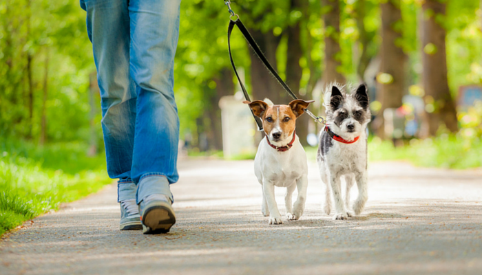 LoveHackney's tweet photo. Not heading to #NottingHillCarnival this #BankHolidayWeekend don't worry there are plenty of events going on in #Hackney from a #SundayBrunch hosted by @Euphorialdn to a dog walk at #HackneyDownsPark &amp; more:
https://t.co/OhhYcljC3e
@GrowHackney
@ConcretePR
@JunctionHouseE8 https://t.co/oYDAhA5SZU