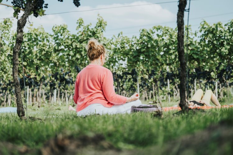 Ook dit jaar kun je weer even tot rust komen tijdens het Wijnfeest. Sluit aan bij een yoga-sessie van Marijke Yoga, met op de achtergrond de rustige klanken van de klassieke muziek uit de wijngaard.