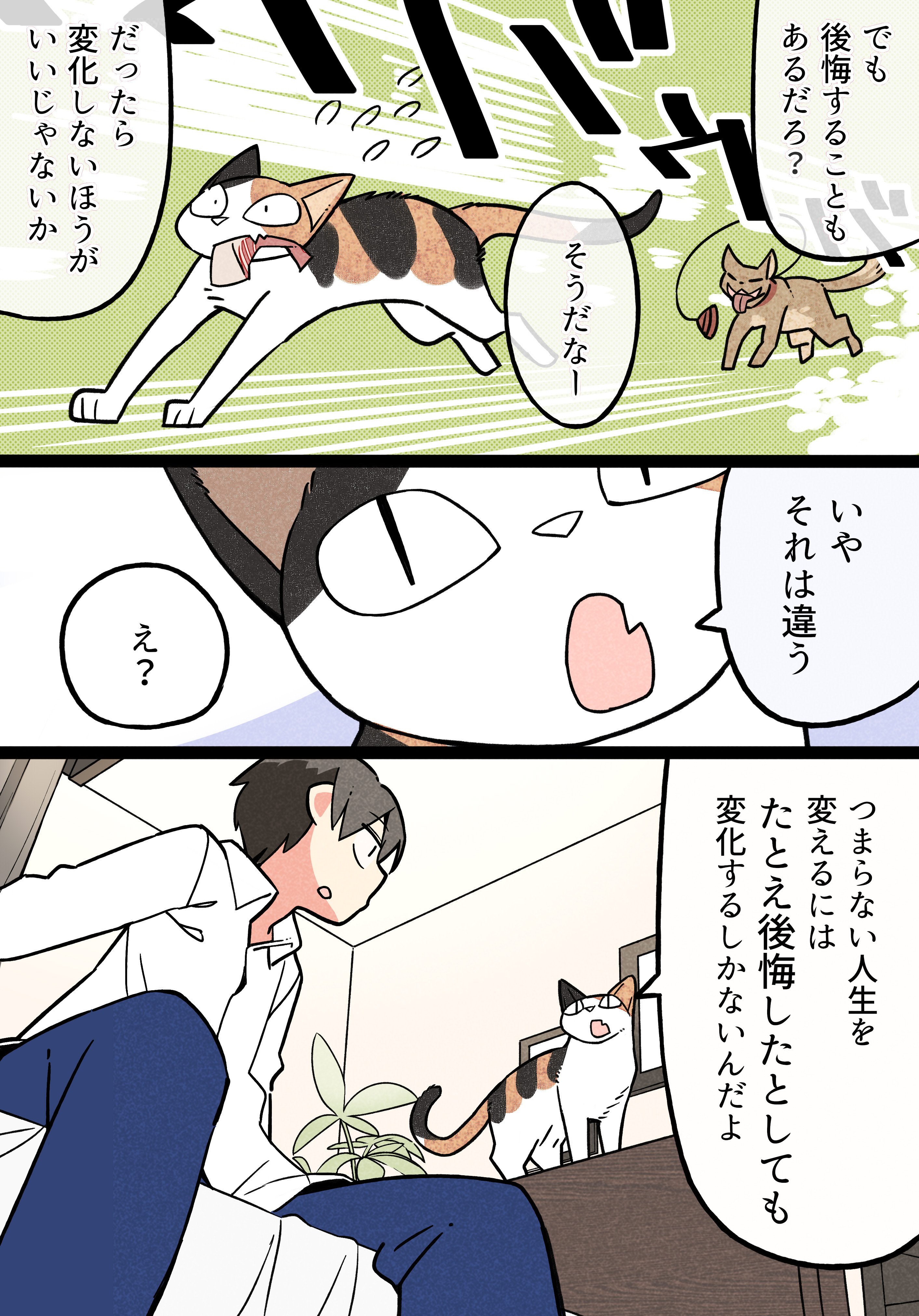 フェルミ研究所 على تويتر つまらない人生を変えた猫の話 T Co Fl7afi4jgt تويتر