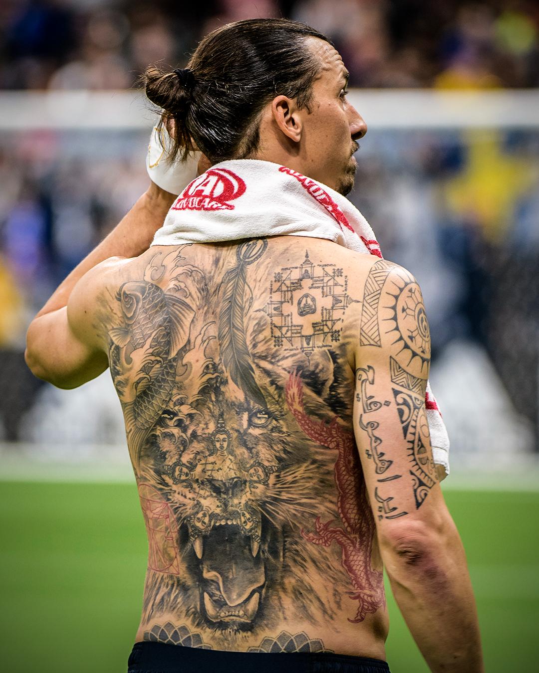 Depay Back Tattoo : Lion Tattoo High Resolution Stock Photography And