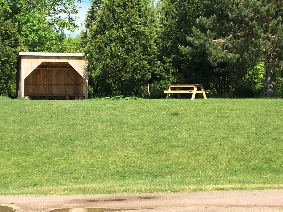 Jen Canfield tweet media