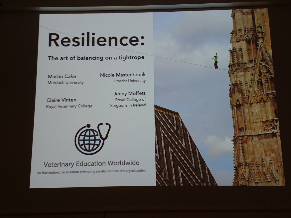 VetEdWorldwide's tweet photo. The ViEW preconference Workshop is about to start. Looking forward to it https://t.co/uTZQ9fzaj1
