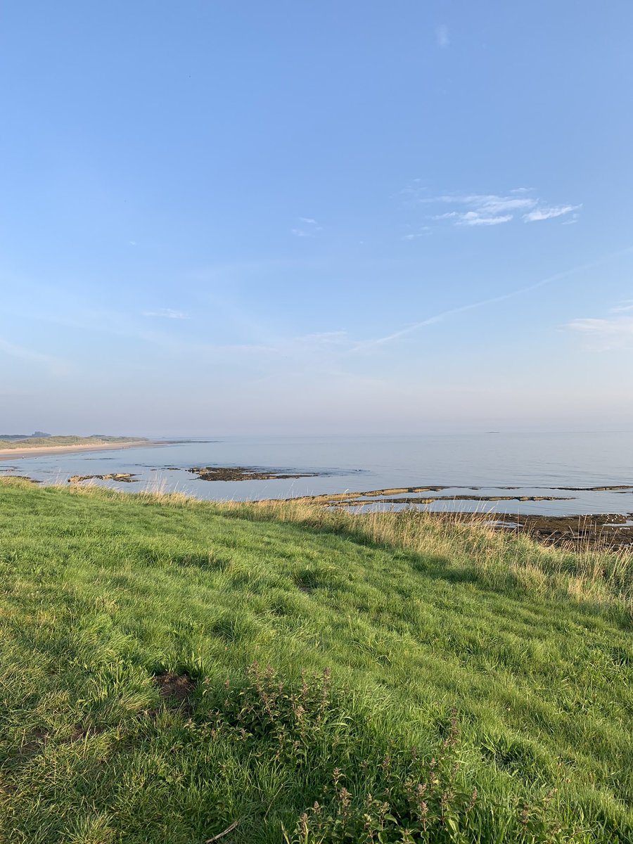 Love the morning walks at the cottage, so does the dog as it’s a change from the garage in Sunderland to get the paper..