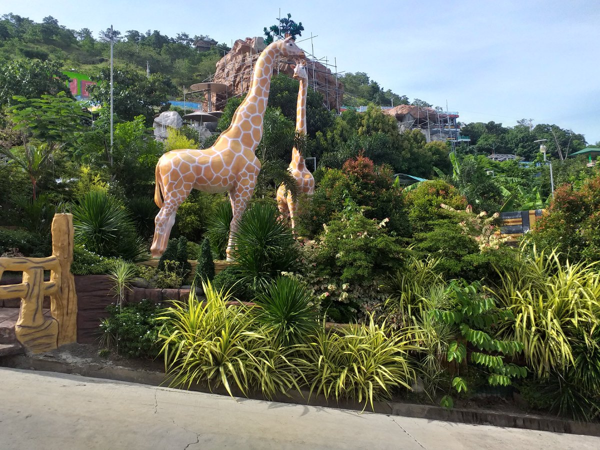 RBalsoria's tweet photo. Nice place,view and adventure😍😍
#Samsrockresortandhotel
#Quirinoprovince https://t.co/htaQ2TmmHc