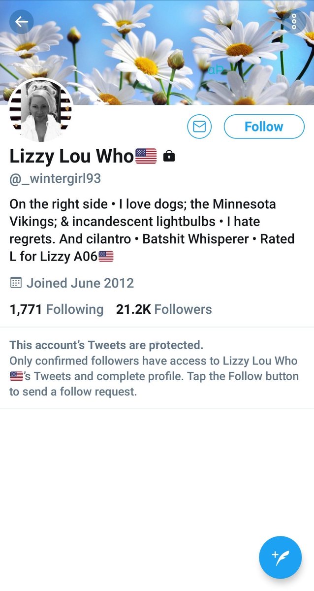 FrancesMFDanger's tweet photo. So racist @_wintergirl93 tweeted the following doctored pic of @ewarren yesterday &amp; then mocked anyone who disagreed with her. She has now protected her tweets. Too bad for you, Lizzy Lou Who, that the internet is written in pen, not ink. 

Racist. https://t.co/JUbh8rIdQn