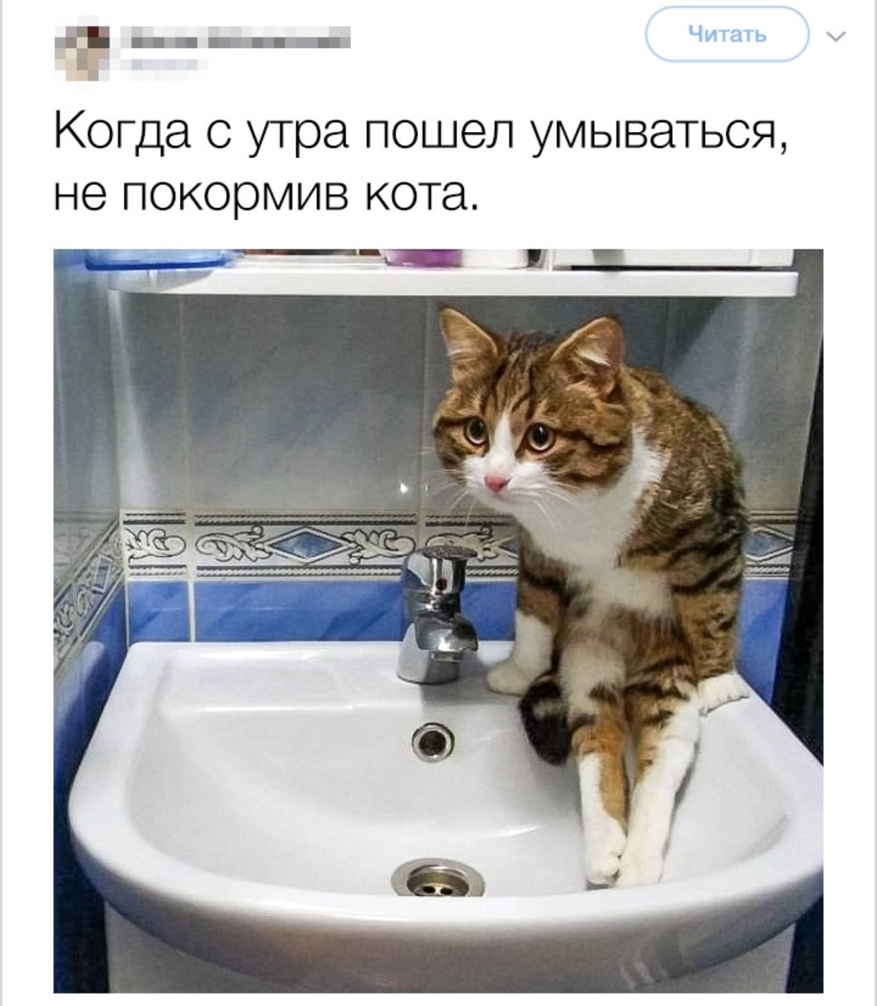Подпись картинка