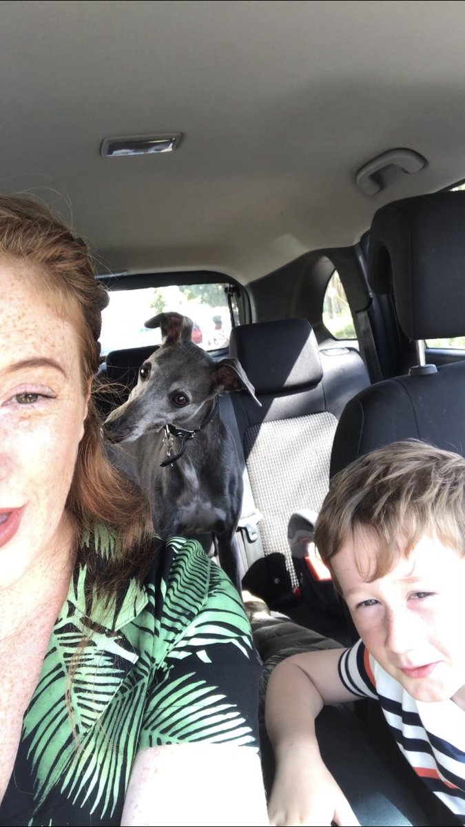 Beautiful #Devon 🤗 #coastalpath walks. On weekends like this there’s no place like home 😍. This is a stretch between teignmouth and #dawlish, we stayed closer to home than usual and had an awesome day!