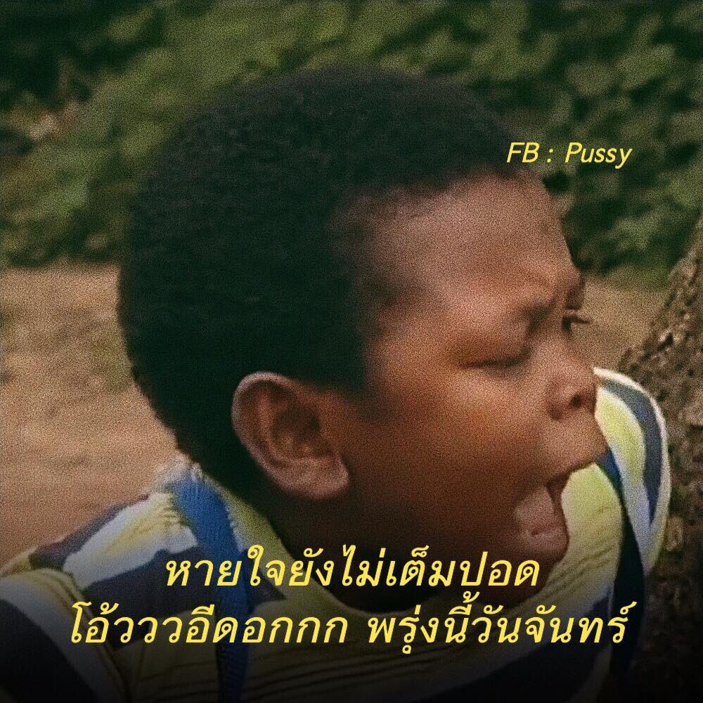 sutiฯ tweet media