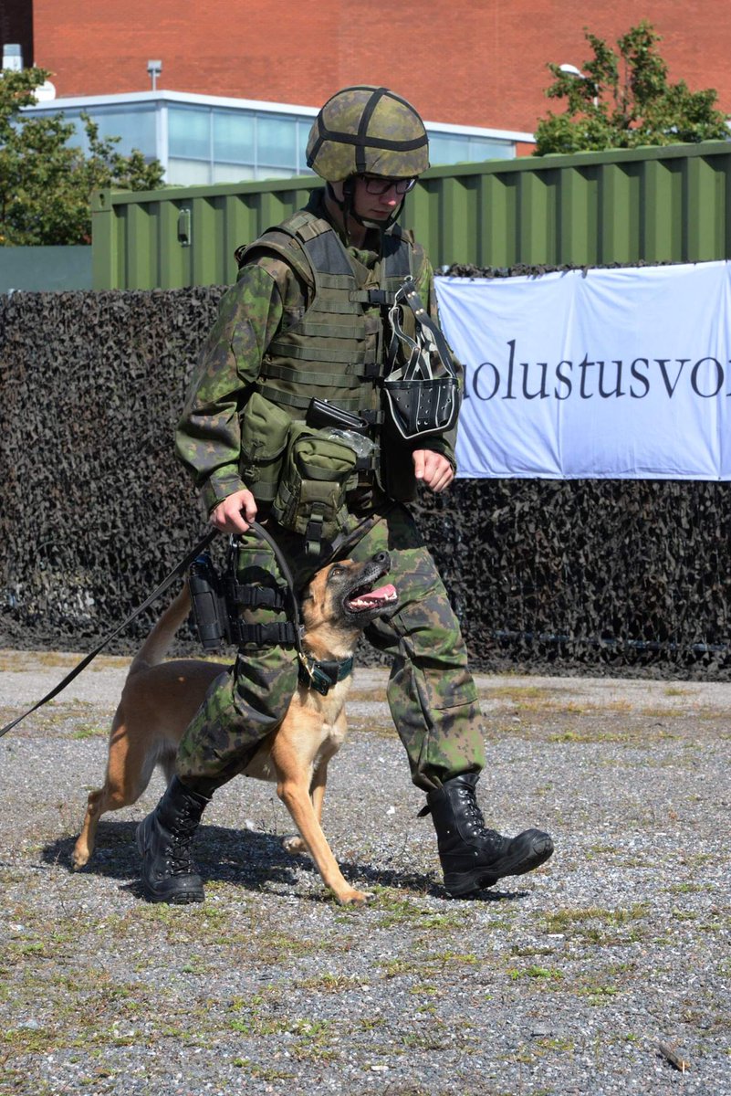 PorinPR's tweet photo. Viimeinen messupäivä on startannut käyntiin Turun messuilla. Ostastollamme on mahdollista tutustua kaluston lisäksi sotakoiratoimintaan. Parhaillaan taitojaan esittää sotakoira Vuokko. 
Lisää näytöksiä klo 14.00 ja 16.00!
#porpr #maavoimat #turunmessut https://t.co/GfAfx9deuH