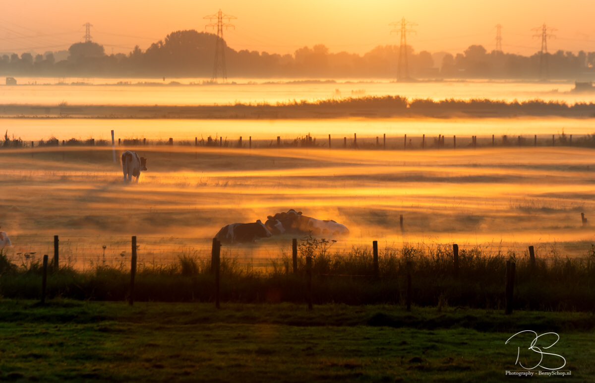 Het 'gouden uurtje' leverde weer een mooi plaatje op vanochtend! <a href="/mooieluchten/">mooieluchten</a> <a href="/RTV_Rijnmond/">Rijnmond</a> @MeteoGroupWeer #hoekschewaard #oudelandvanstrijen <a href="/HW_natuur/">Hoekschewaard natuur</a>