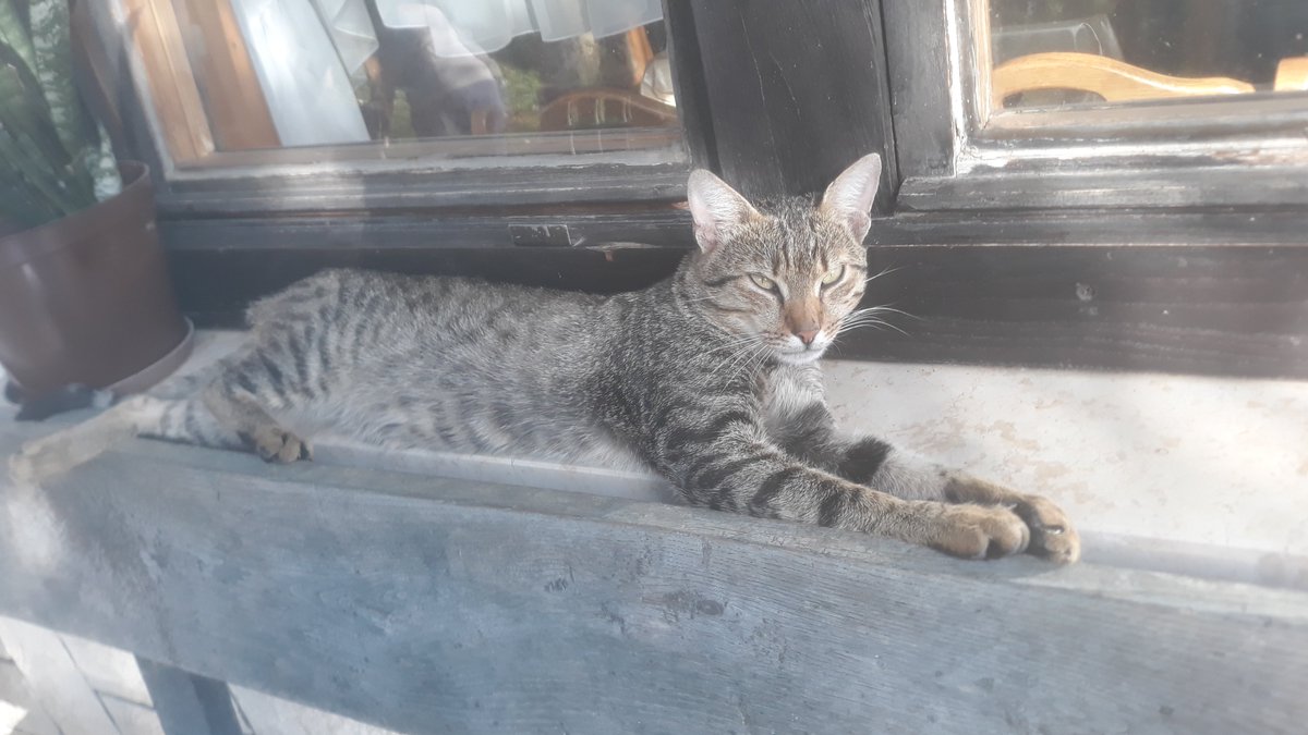 StankoTop's tweet image. 