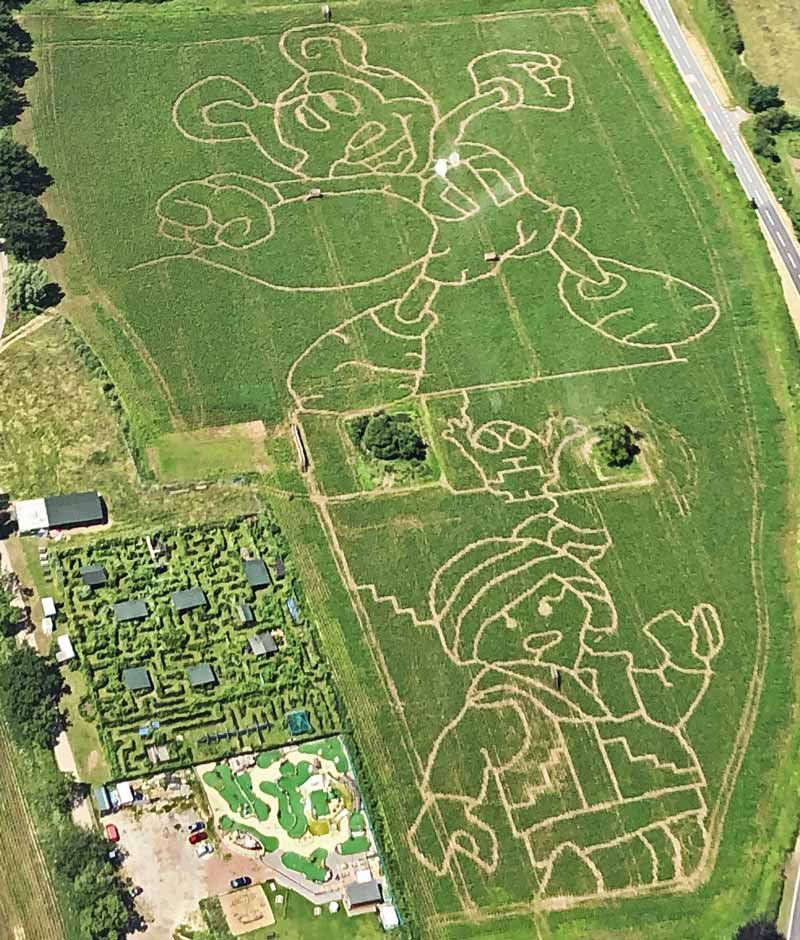 eltonmazes's tweet photo. One more week to visit Elton Giant #Mazes. 
Open till Sunday 1st Sept, every day from 10.30 till 6
#LATENIGHT SPECIAL ON Friday 30th August 7 till 11
#Banshee#Live #Music #Bonfire #BBQ https://t.co/QUl7KoT22j