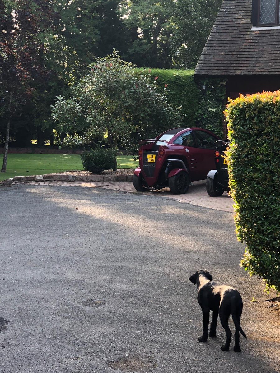CarverOC's tweet photo. Derek the dog is not sure about a ride in the back of the #carverone https://t.co/xVgPg1MUnW