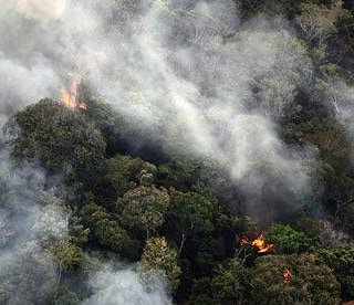 eco_fighters's tweet photo. We need to spread awareness and save the precious ecosystem that is the Amazon.This needs to stop
#takeaction #thisisgettingreal #amazonfire https://t.co/Dgv8yWmoua