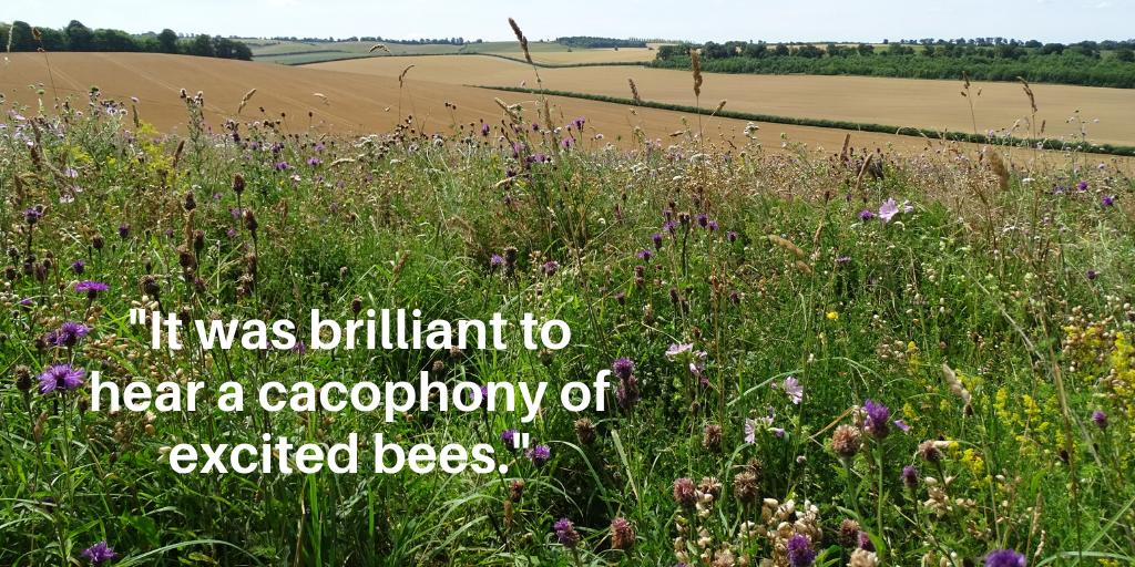 NFUtweets's tweet photo. #ICYMI on Wednesday NFU environment forum chair @Farmerphil1 explained on @BBCNews #BBCFarmingFocus how he provides for pollinators on his farm, all while producing high quality, healthy food. Watch again ๐ https://t.co/bEmk67yr81 https://t.co/Q9B1L8mYJA