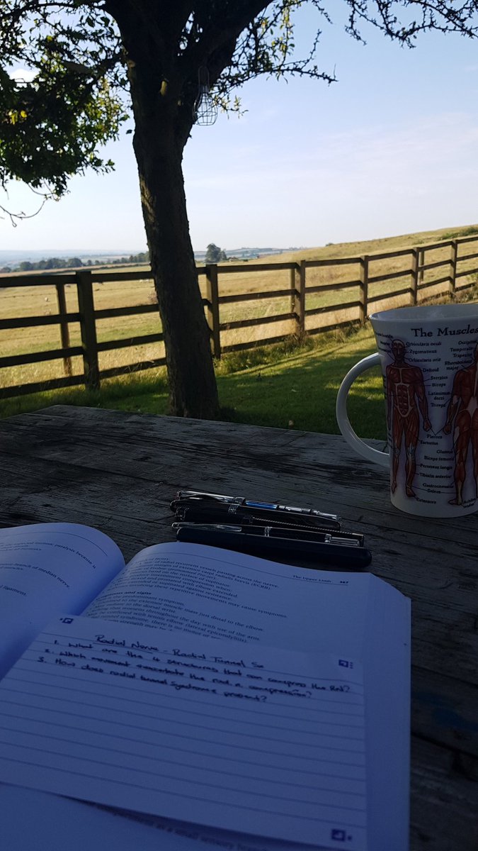 Ryan_L_K's tweet photo. #BankHolidayWeekend #revision #FRCSplast https://t.co/QAF3PmNZw5