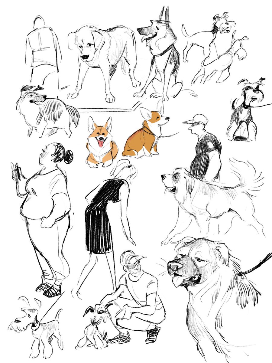 Breed show doodles 