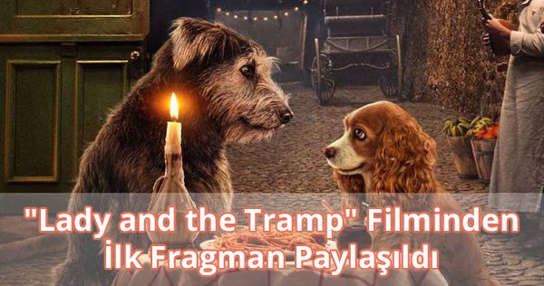 "Lady and the Tramp" Filminden İlk Fragman Paylaşıldı
Bilgi ve Video: sinema.gen.tr/2019/08/lady-a…

#LadyandtheTramp #sinema #cinema #movie #film #sinemahaberleri #filmhaberleri #yabancıfilm #2019filmleri