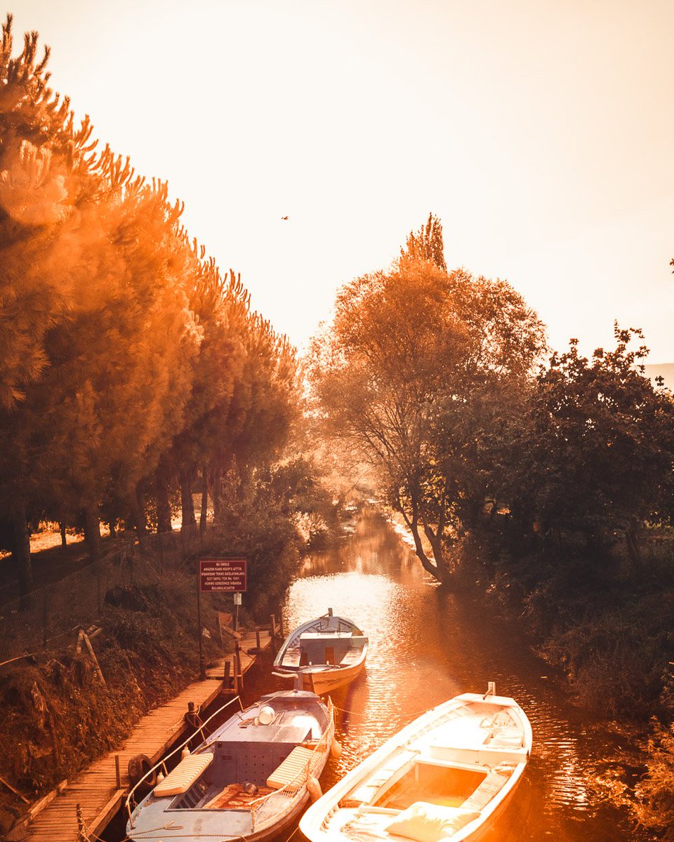 We are all rowing the boat of fate
The waves keep on coming and we can't escape

But if we ever get lost on our way
The waves would guide you through another day