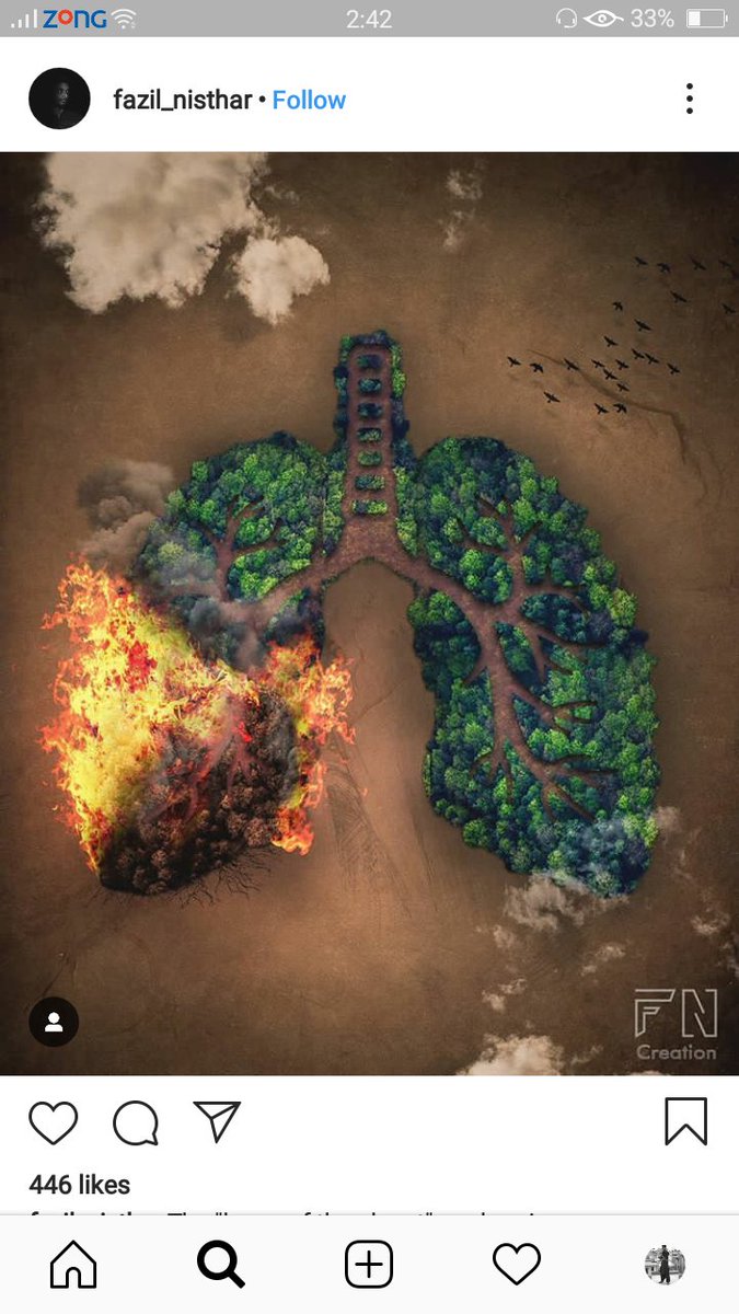 anaspps27's tweet photo. #PrayForTheAmazon #AmazonFire #AmazonFires #AmazonRainforest #PrayforAmazonia #amzonia #AmazonIsBurning #amazonisindanger https://t.co/MZ2jnQHYor