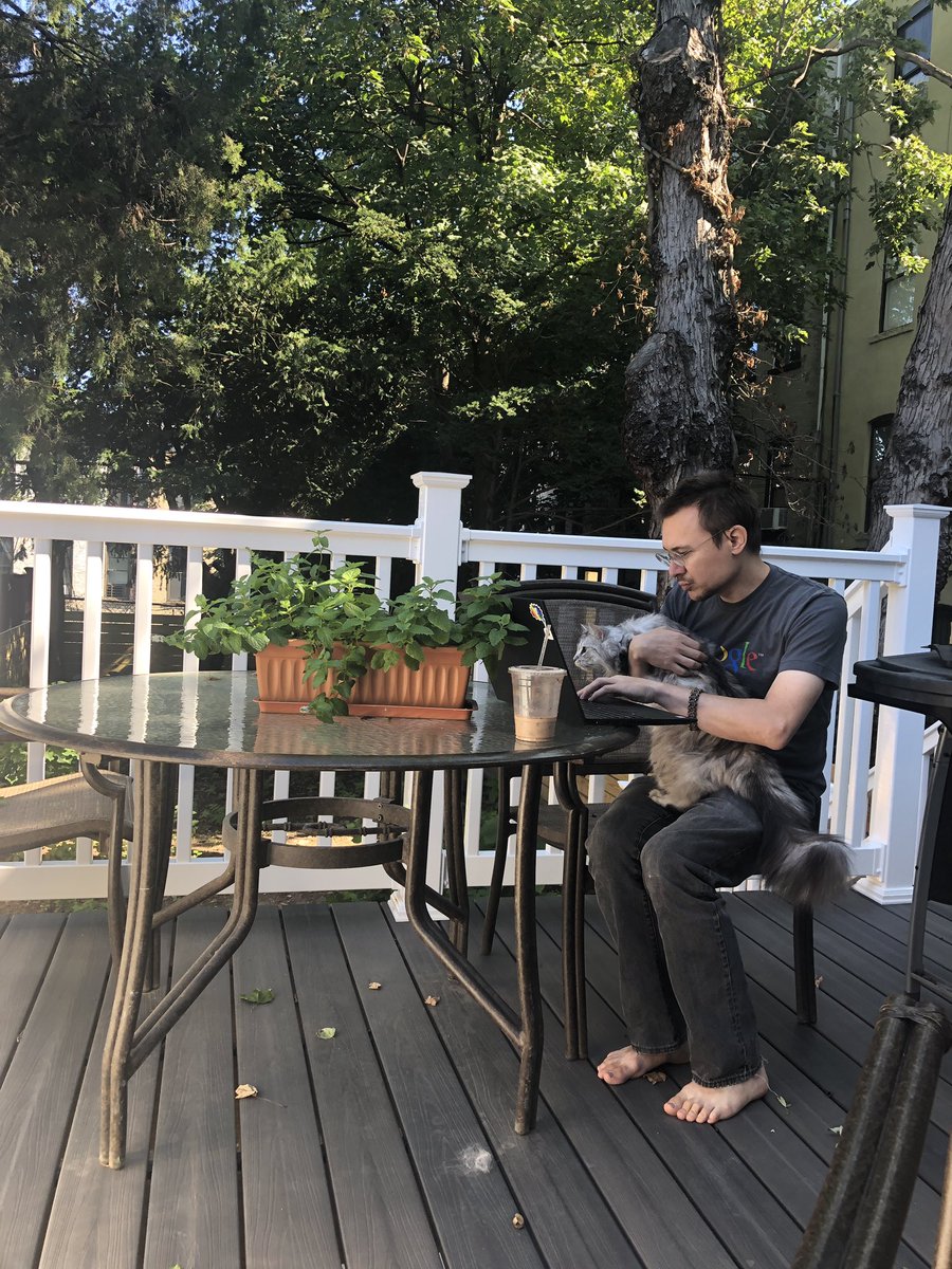 bigfloofs's tweet photo. Brooklyn is beautiful in the late summer https://t.co/VtjLbIrxmm
