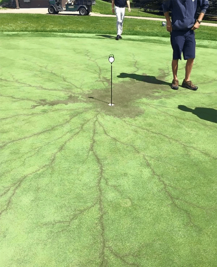 RapPlanetHQ's tweet photo. @just1Rebel @dingusmj @buckslevito @BenjaminEnfield Lightning tends to permanently scar everything it touches. You got life! https://t.co/4Z9OikJpRj