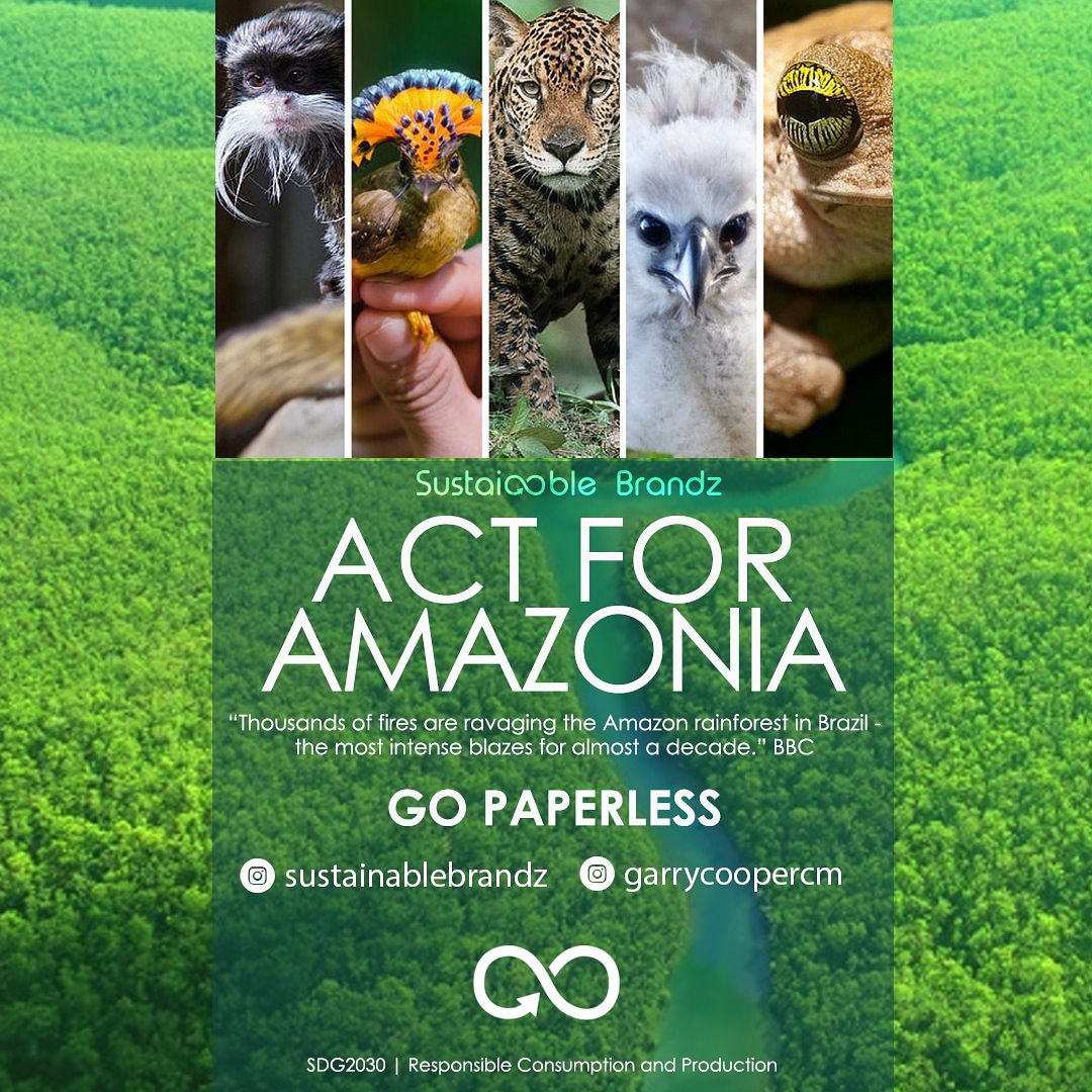 GarethAndrade's tweet photo. We have made efforts to go paperless and helped many achieve that goal. Join us Act for the Amazon forests.
#gopaperless #ActForAmazonia #thinkbeforeprinting @garrycoopercm #sustainablebrandz
@DxbModern
@KNargish
@WIN_JebelAli #prayforamazonas #PrayForTheAmazon https://t.co/2t44hTxQeM