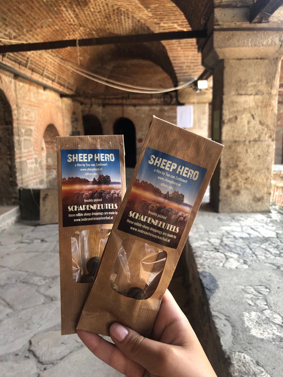 makedox's tweet photo. Greetings from the Netherlands - Edible sheep droppings
Tonight at 9 p.m. in Kurshumli an - #SheepHero https://t.co/Pc2NNwLJPY