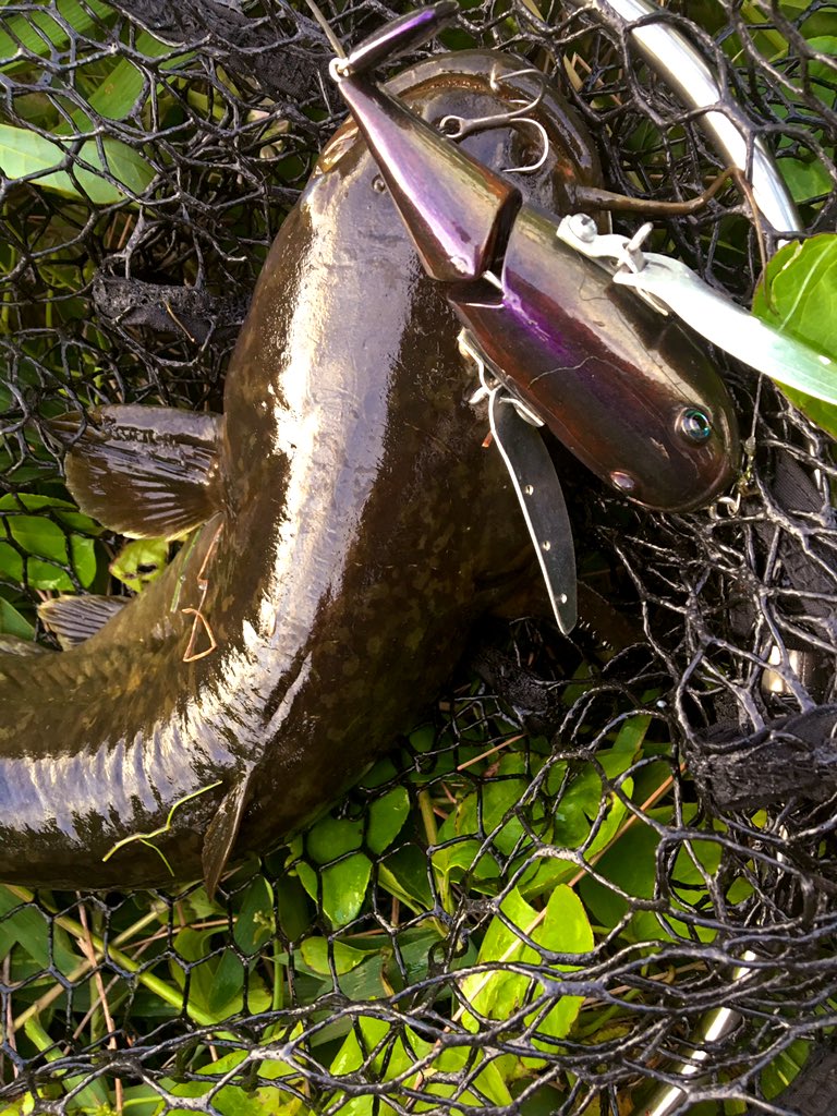 𝓶𝓲𝓷𝓸𝓷 ナマズでナマズ釣れた ハンドメイドルアー Minonmaker ナマズ クローラーベイト 羽根モノ