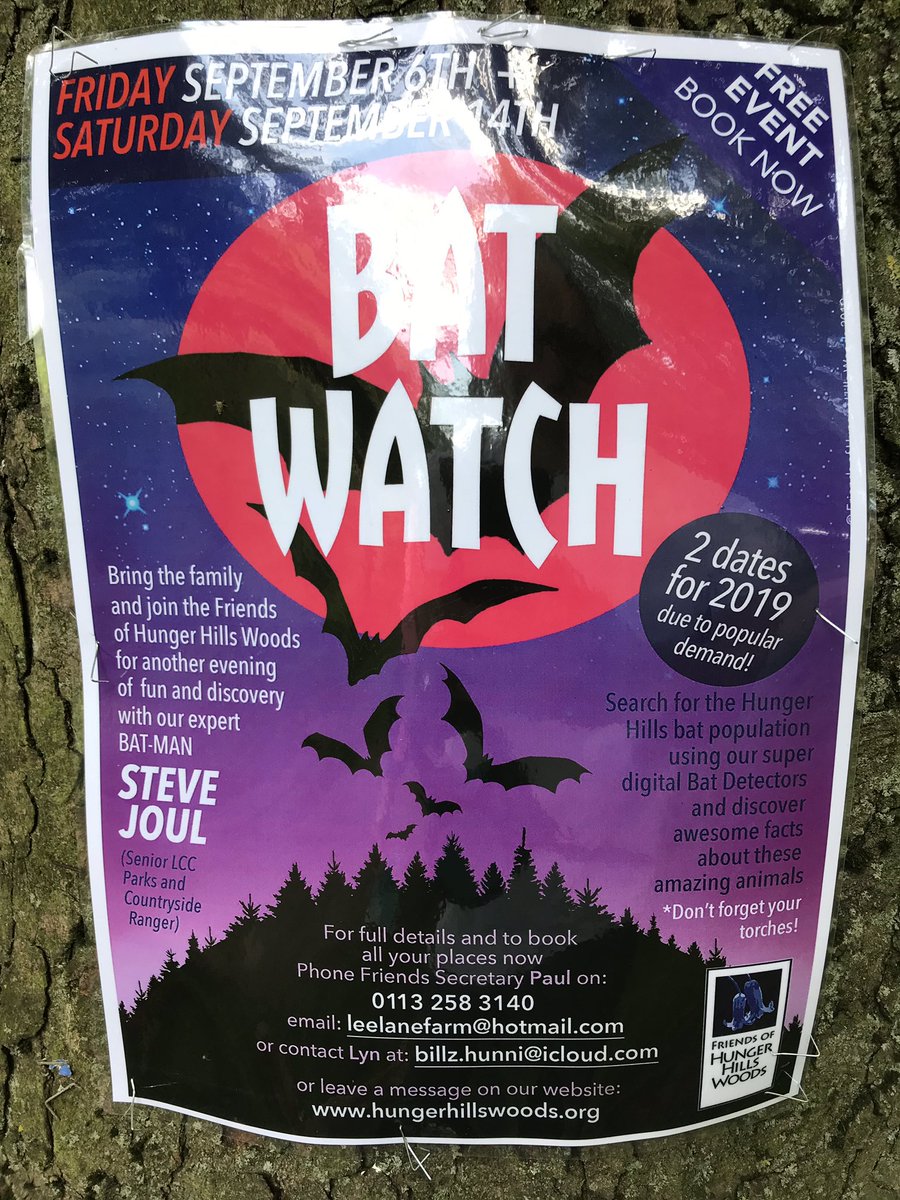 HorsforthTweets's tweet photo. Glorious morning dog walk in Hunger Hills. Details of some upcoming free Batwatching events here: https://t.co/GaBMgOLqGI