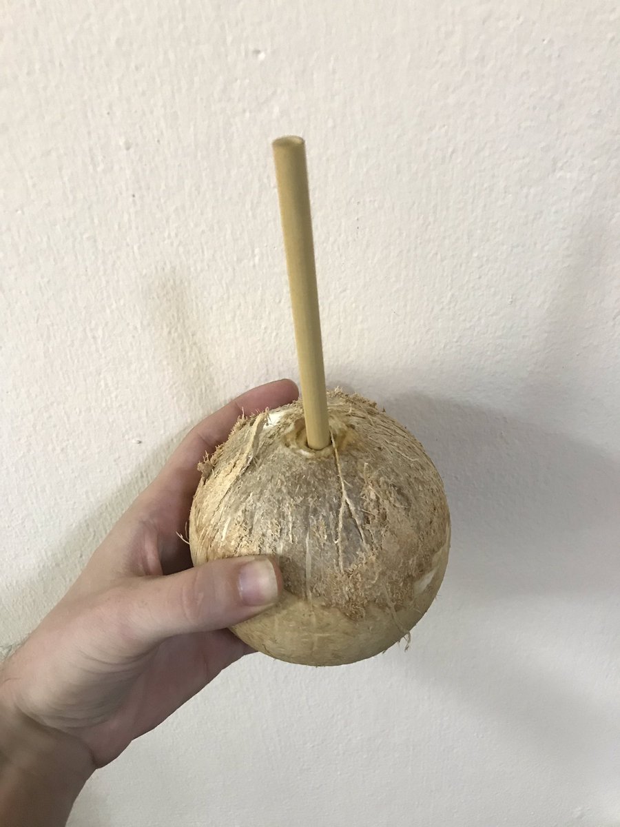 Nature is perfect, don’t you think? #ecofriendly #bamboo #freshcoconut #organic #reusablestraw