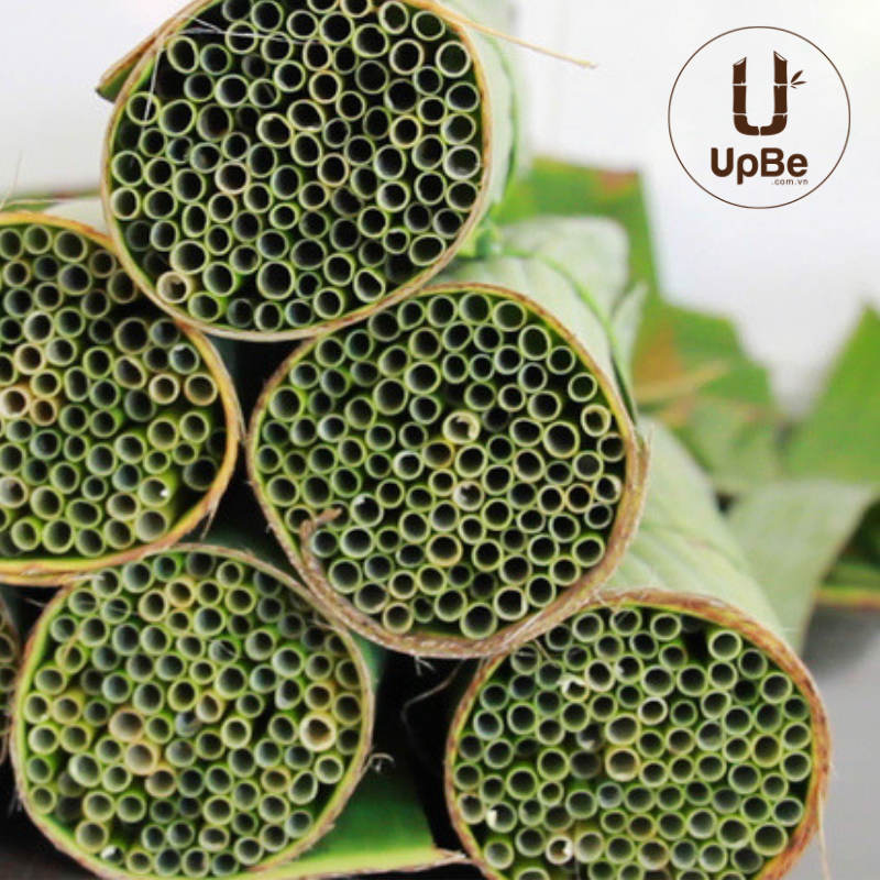 UpbeVietnam's tweet photo. Thank you for your attention! we would love to change environment with small actions with you.
We provide #GRASSSTRAWS (#REEDSTRAWS) from Vietnam. Let's do good things together. We need your help! hello@upbe.com.vn 
https://t.co/YU8yctxS3s https://t.co/6rmle9hVA5