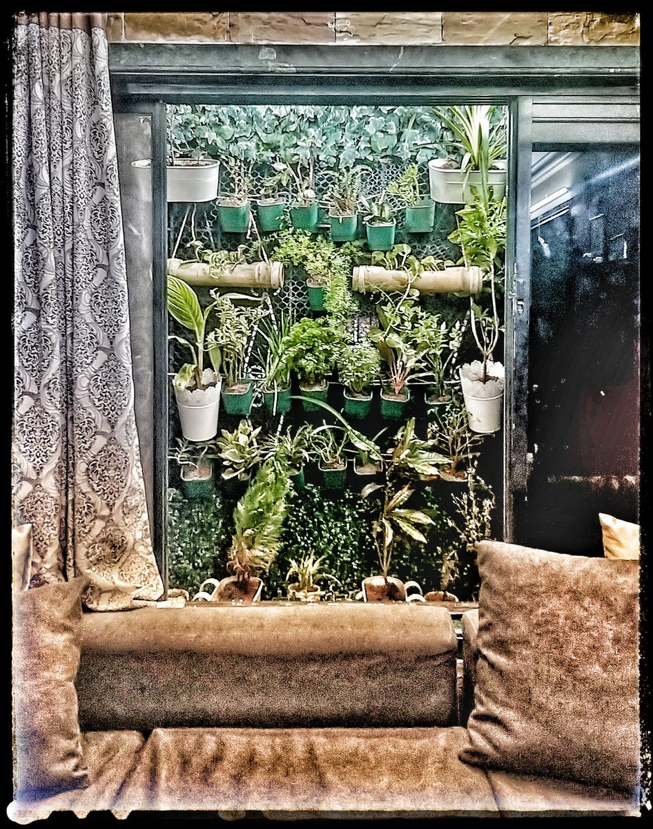 pklearn's tweet image. a mnth bck, my best friend left my home 2make new best friends in life.😞 2 come home 2an empty pad, started my quest'f copping mechanisms!
Easiest ws 2 make it a party pad, tough 1 ws2try new things, hobbies
#hereIm tking baby stps #NewReasons 2 #ComeBkHome2hapinez #PARceptions