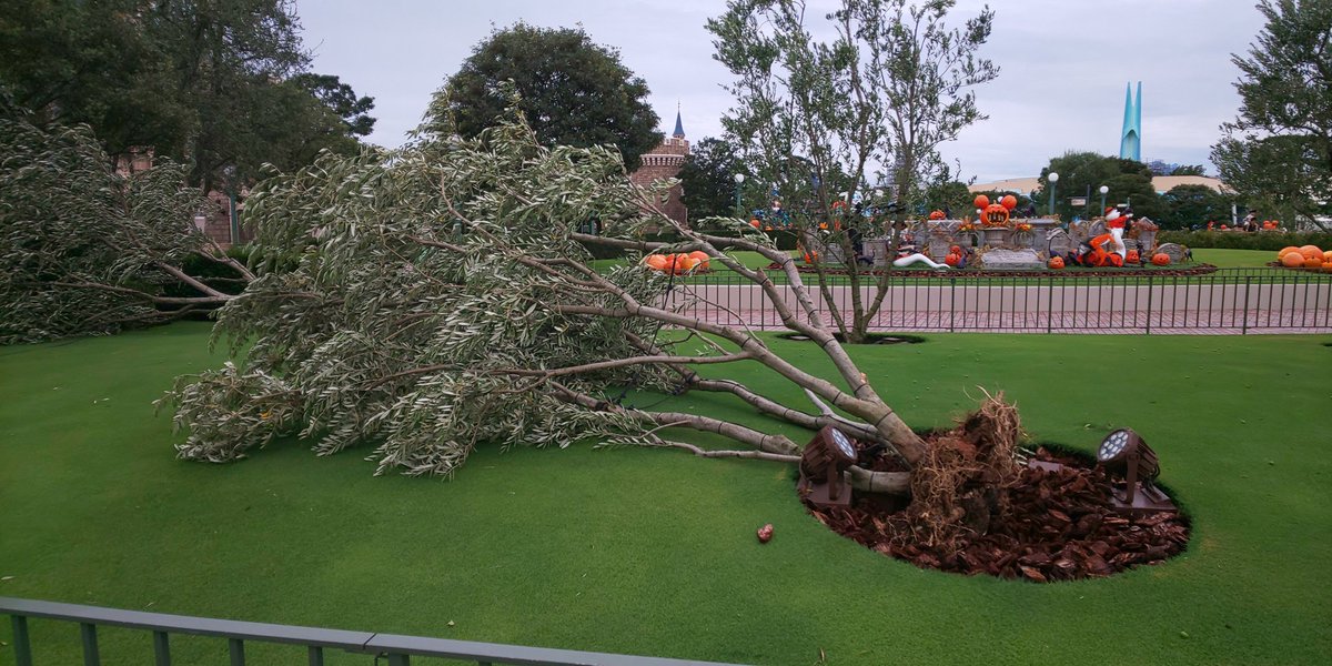 台風15号 東京ディズニーランド台風被害まとめ「倒木被害多数」「キャストさんが掃除してる」 はちまと 台風15号 東京ディズニーランド台風被害まとめ「倒木被害多数」「キャストさんが掃除してる」 はちまと