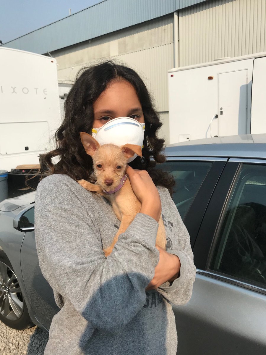 lishboe's tweet photo. I gave birth. https://t.co/Q0k9WVlS8H