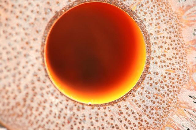 勃起不全を自然に治療するにはどうすればよいですか