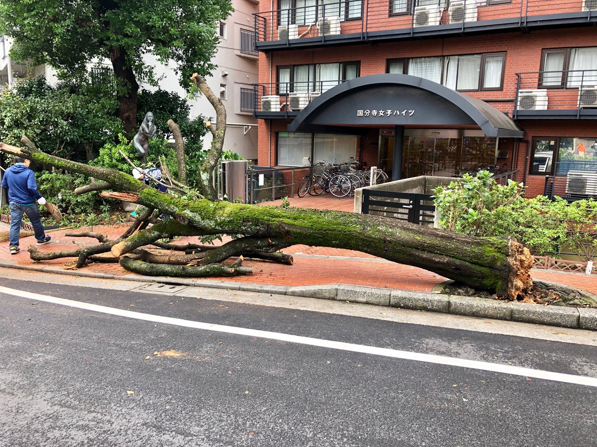 Food Sake Tokyo A Twitter Sakura Tree Victim The Landlord Said He S Lucky It Didn T Fall On The Train Tracks Or He Would Have To Pay A Steep Penalty Faxai Typhoon T Co Tz7eqd0kuj Food Sake Tokyo A Twitter Sakura Tree Victim The Landlord Said He S Lucky It Didn T Fall On The Train Tracks Or He Would Have To Pay A Steep Penalty Faxai Typhoon T Co Tz7eqd0kuj