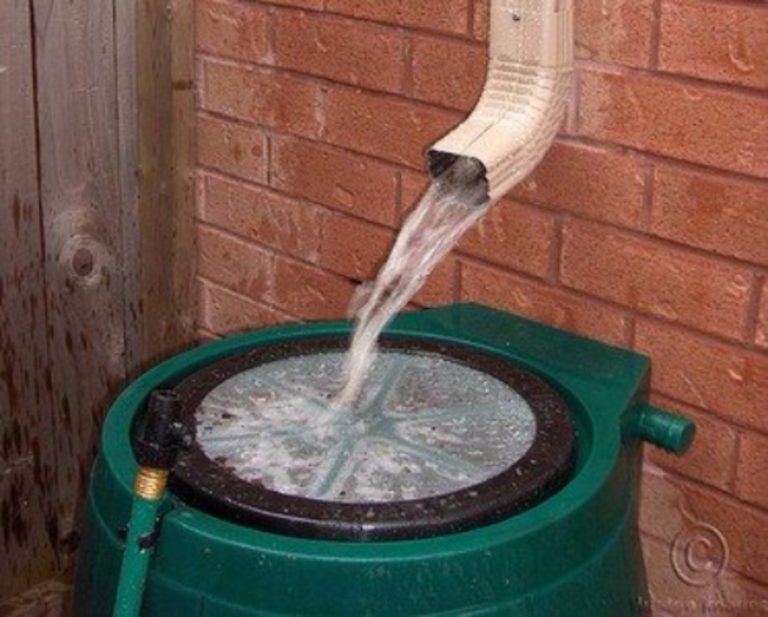 Fun Green Tips tweet media